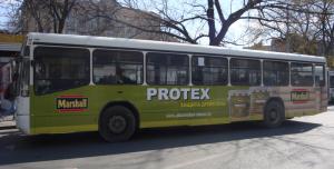 big-bus protex  